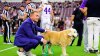 Kirk Herbstreit reveals his dog Ben is ‘getting worse and worse' amid cancer battle