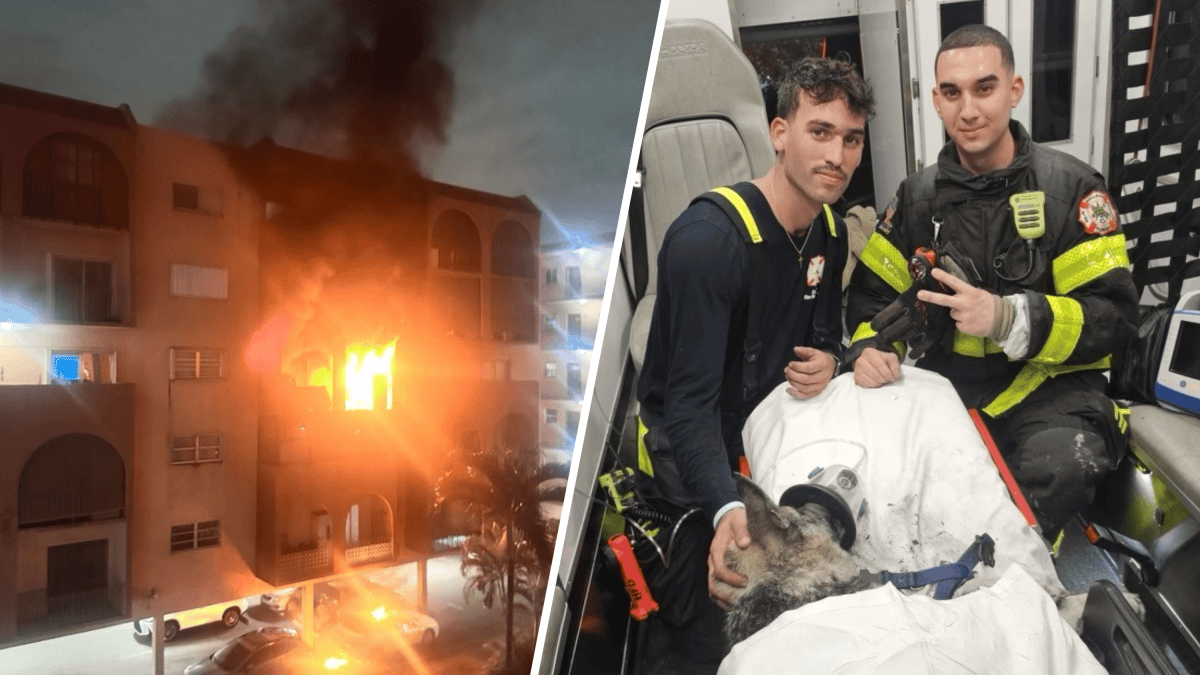 4 people, dog rescued after fire at Hialeah apartment – NBC 6 South Florida