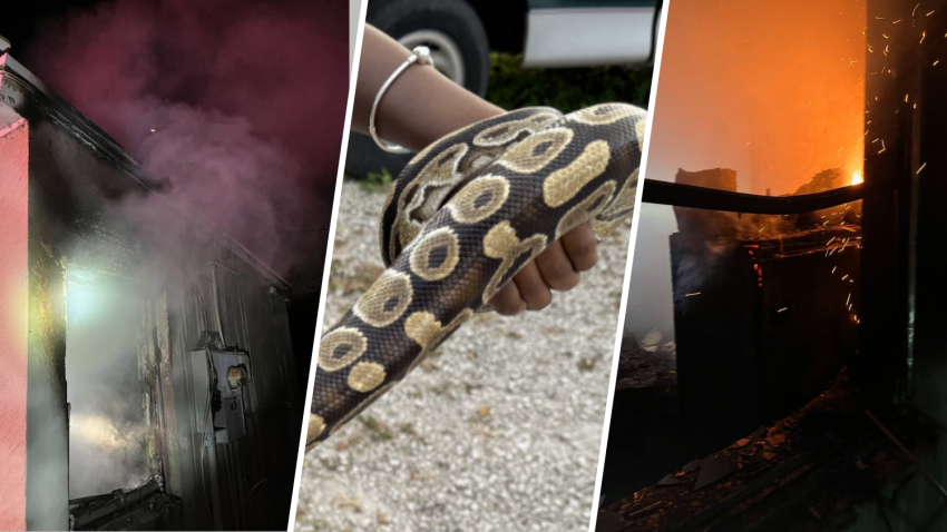 Four people were displaced after a fire in Fort Lauderdale on Tuesday morning, and a pet python was rescued from the blaze.