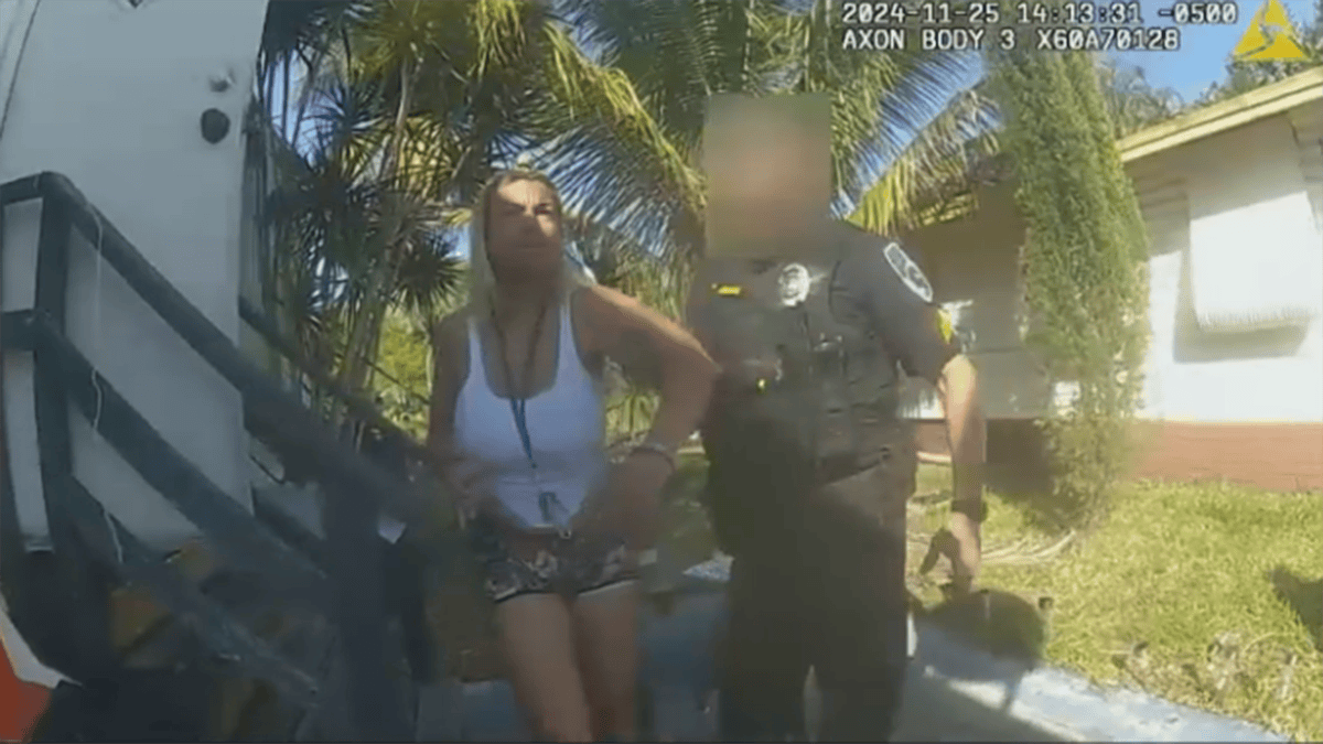 Hallandale Beach woman accused of trying to kidnap 3-year-old – NBC 6 ...