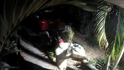 Video shows porch pirate stealing newborn's packages at Miami family's home