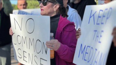 Community protests redevelopment of historic Miami park