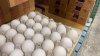 FDA raises recall alert to highest level on Costco eggs over risk of severe illness or death due to salmonella