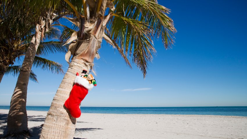 Crandon beach, Key Byscaine, Miami, Florida, USA