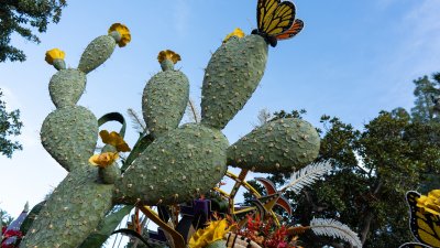 Everything you need to know about the 2025 Rose Parade