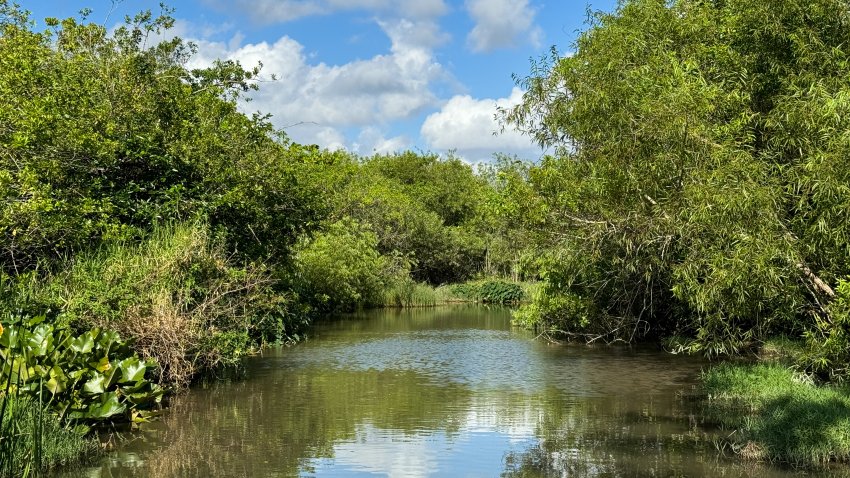 A view in Everglades National Park, United States on May 6, 2024. (Photo by Jakub Porzycki/NurPhoto via Getty Images)