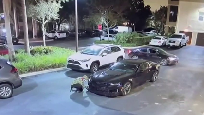 The search is on for the people caught on surveillance video stealing two luxury vehicles in the middle of the night from a Coral Springs neighborhood. 