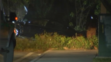 A vehicle is pulled from a lake after a crash in southwest Miami-Dade on Jan. 10, 2025.