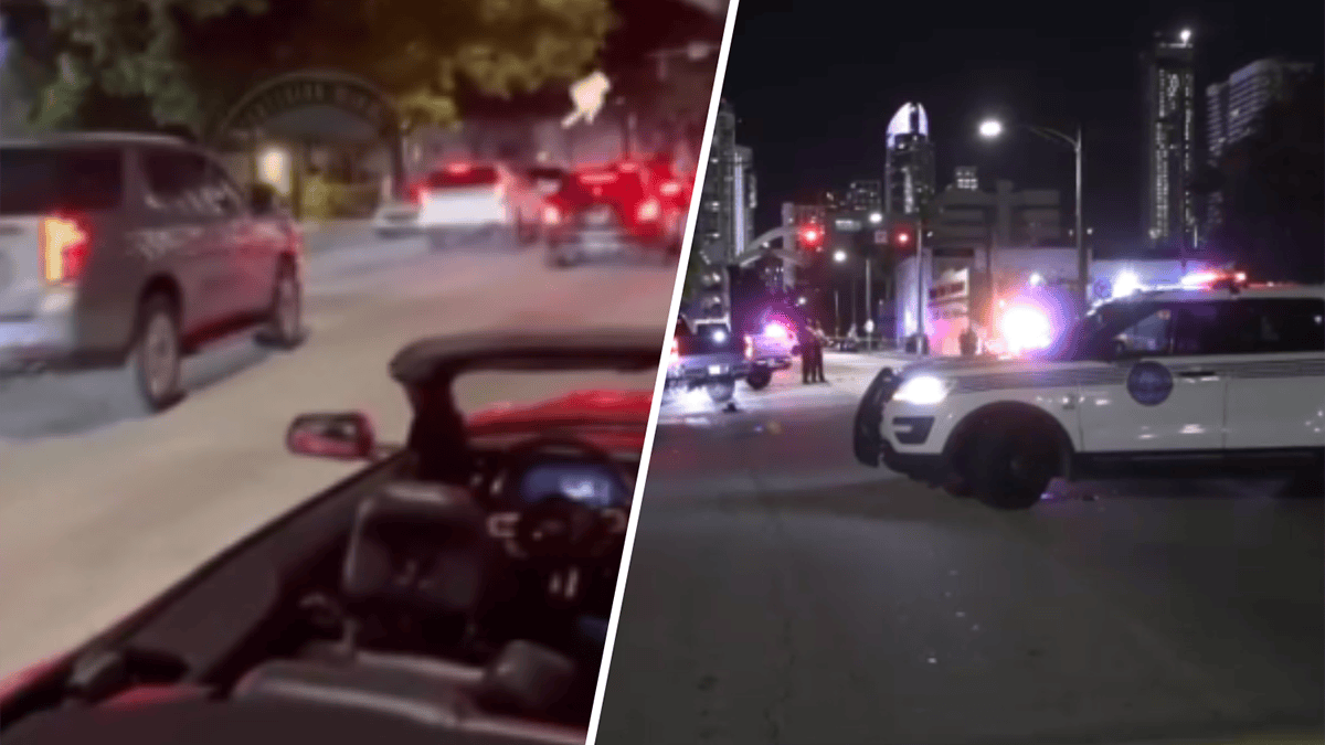 Miami-Dade Sheriff’s K-9 injured after pursuit ends in crash – NBC 6 ...