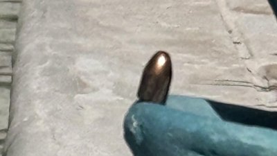 Family finds bullet in pool on New Year's Day