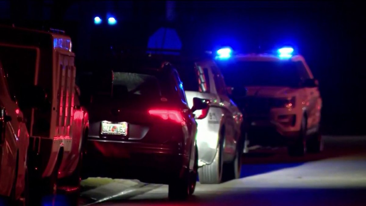 Florida boy, 8, dies after being attacked by 2 loose dogs – NBC 6 South ...