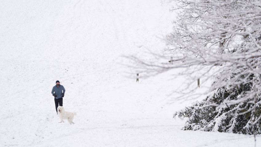 Michael Paul runs up a snow covered hill with his dog Murphy, Saturday, Jan. 11, 2025, in Nashville, Tenn.