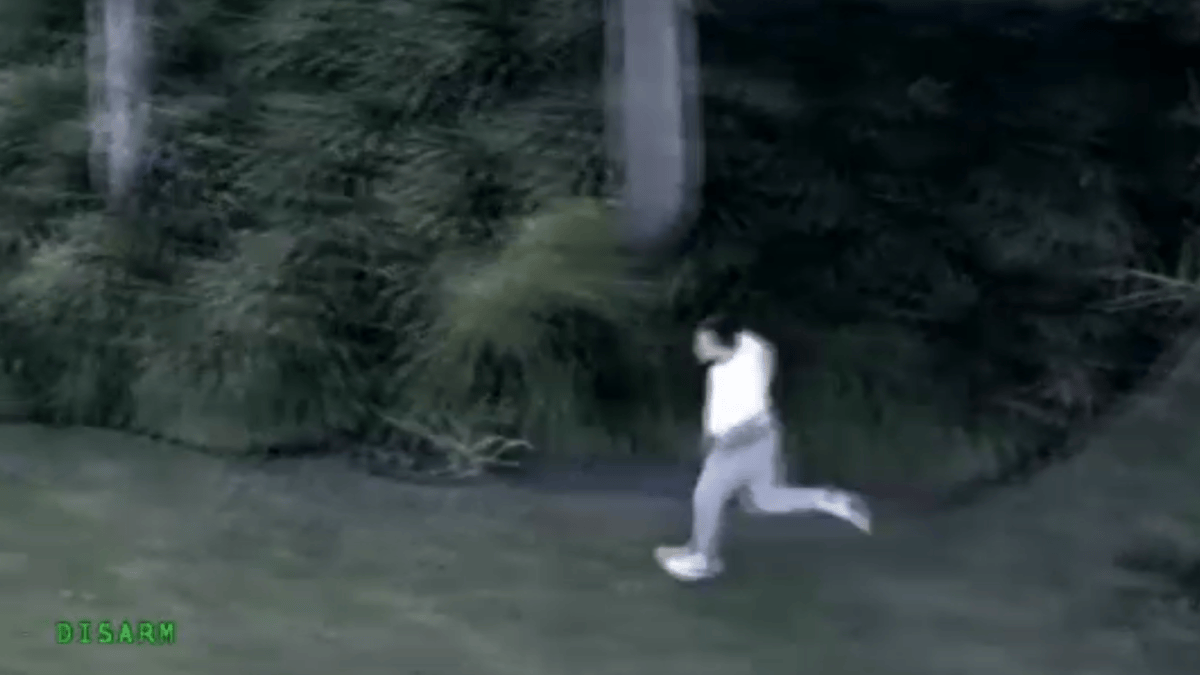 Man arrested after leading officials on chase in Martin County – NBC 6 ...