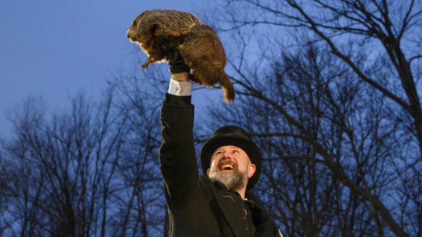 PUNXSUTAWNEY, PA – FEBRUARY 2: Groundhog handler AJ Dereume holds Punxsutawney Phil after he did not see his shadow predicting an early Spring during the 138th annual Groundhog Day festivities on Friday February 2, 2024 in Punxsutawney, Pennsylvania. Groundhog Day is a popular tradition in the United States and Canada. Over 40,000 people spent a night of revelry awaiting the sunrise and the groundhog’s exit from his winter den. If Punxsutawney Phil sees his shadow he regards it as an omen of six more weeks of bad weather and returns to his den. Early spring arrives if he does not see his shadow, causing Phil to remain above ground. (Photo by Jeff Swensen/Getty Images)