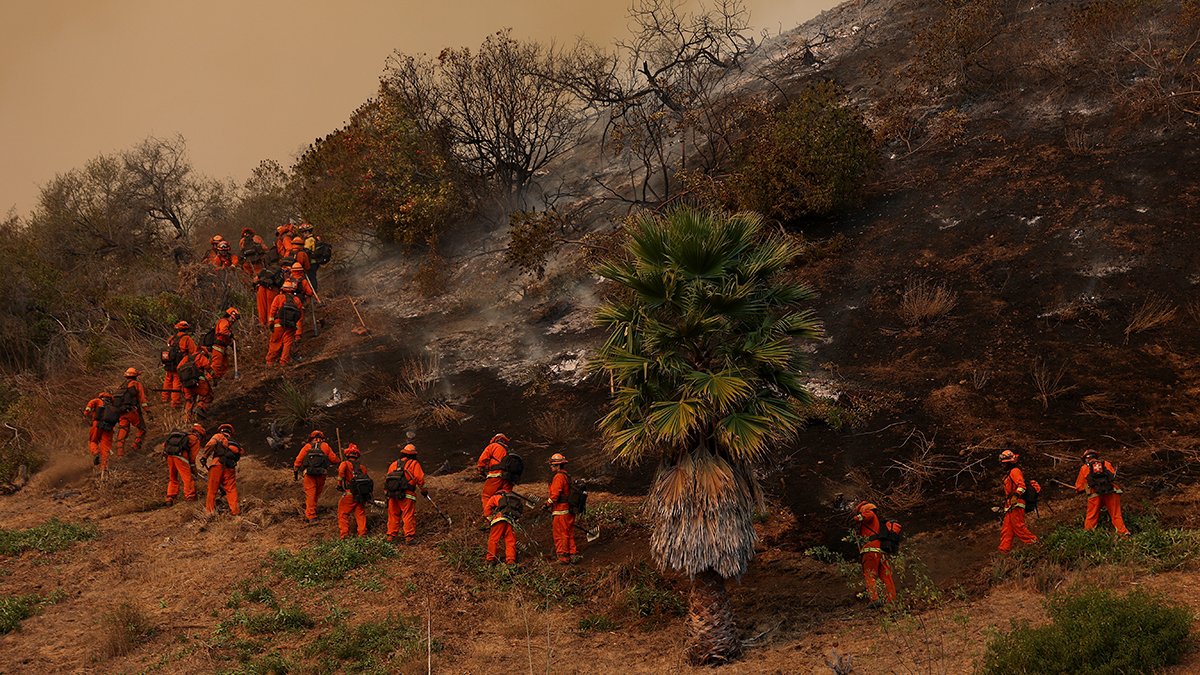 Get Out Inmate Log In Here’s how much California incarcerated fire crews are paid – NBC 6 ...