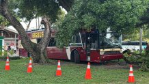 Three people were hurt after a tour bus and other vehicles were involved in a crash on Biscayne Boulevard in downtown Miami on Tuesday, authorities said. 