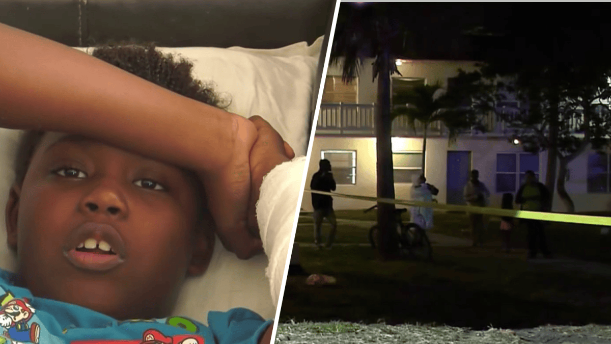 11-year-old boy describes dog attack in Deerfield Beach – NBC 6 South ...