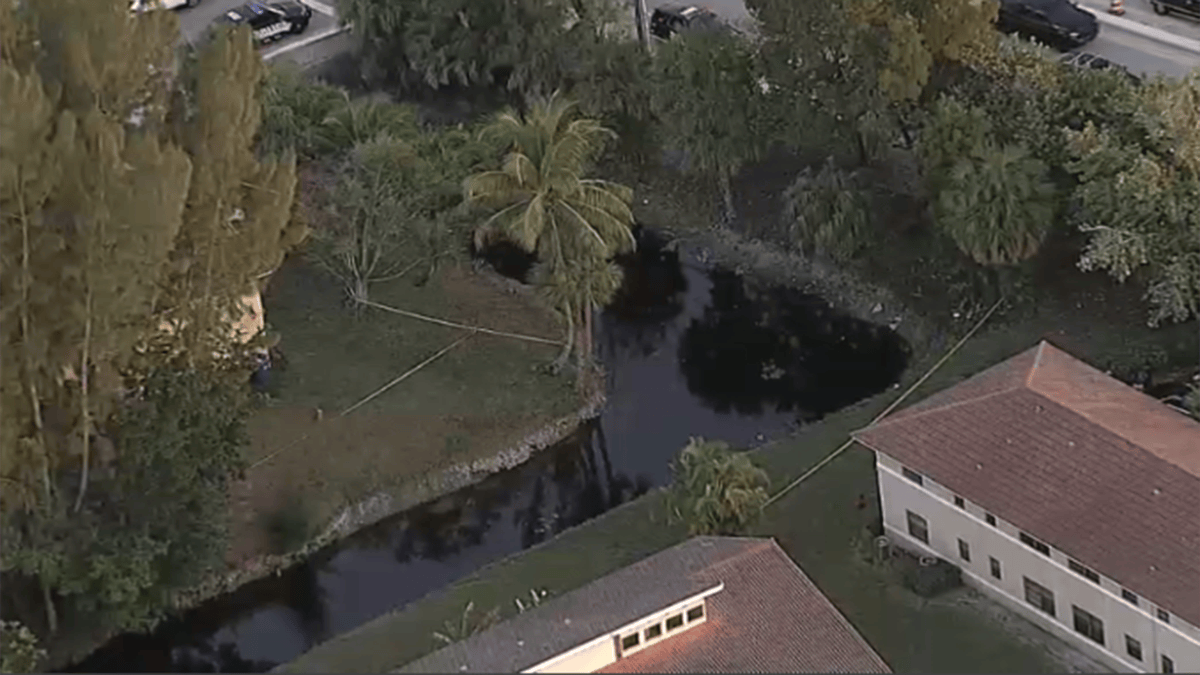 Body found floating in canal in Coral Springs – NBC 6 South Florida