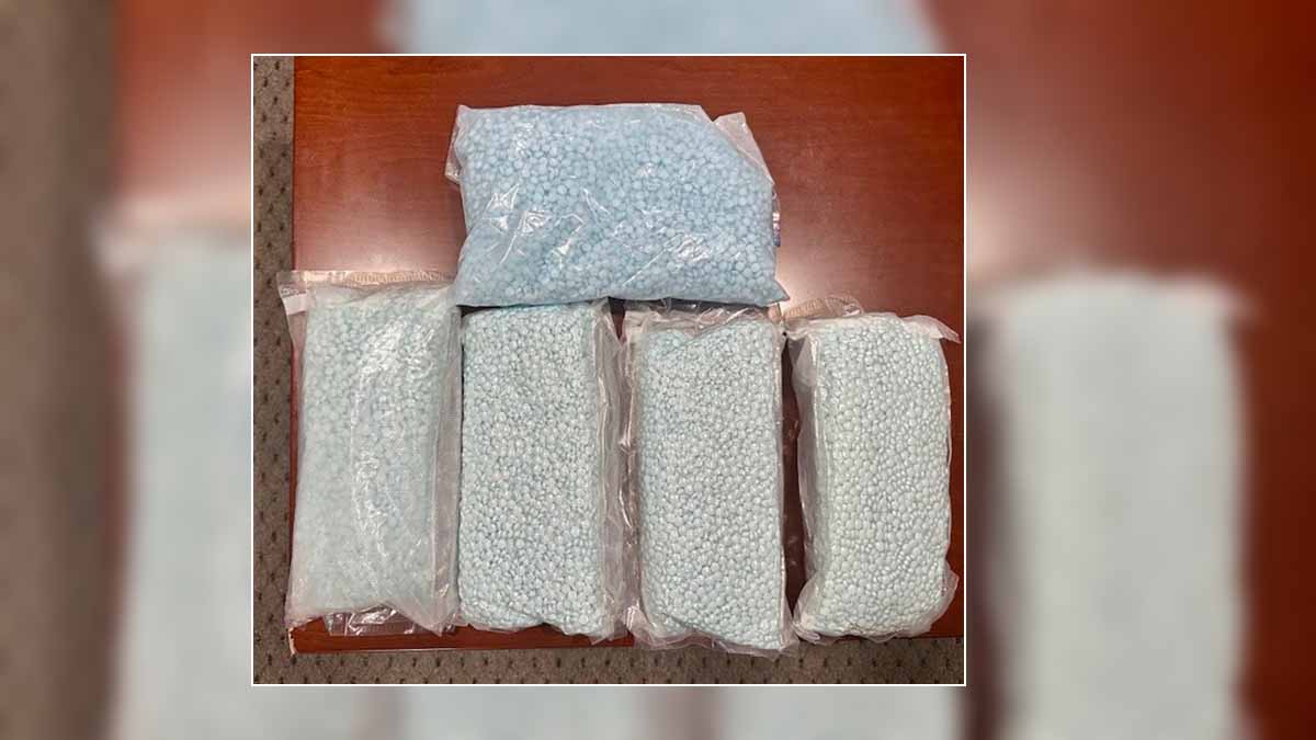 Man and woman arrested in South Florida fentanyl trafficking bust – NBC ...