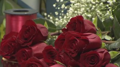 Flower inspections underway at Miami International Airport