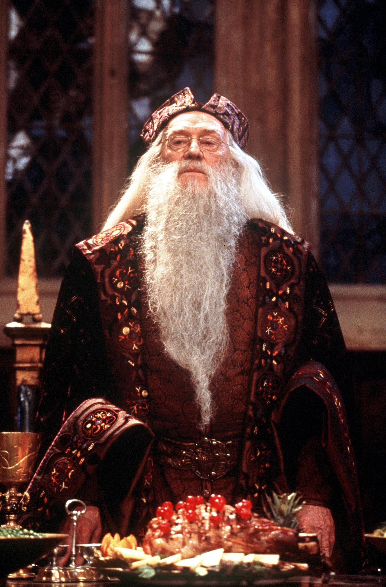 This actor just confirmed he was cast as the new Dumbledore in HBO's 'Harry Potter' show