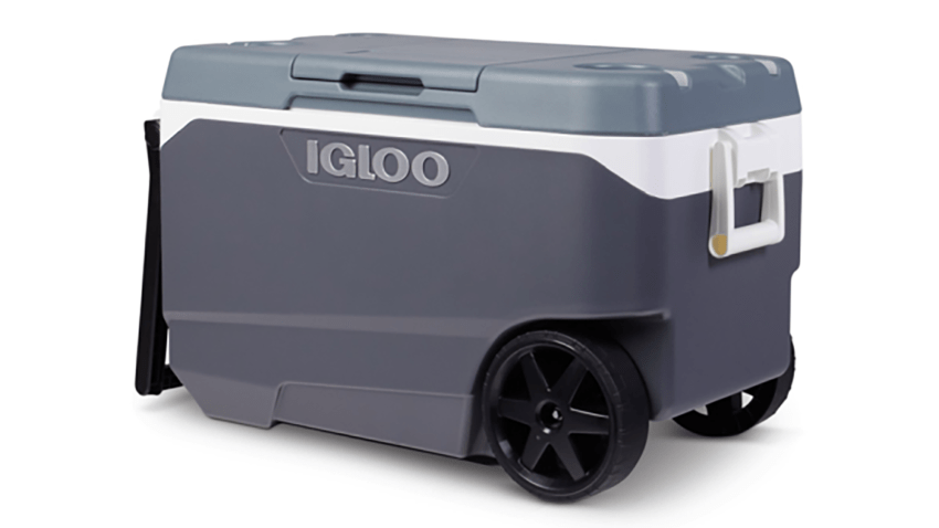 Igloo cooler