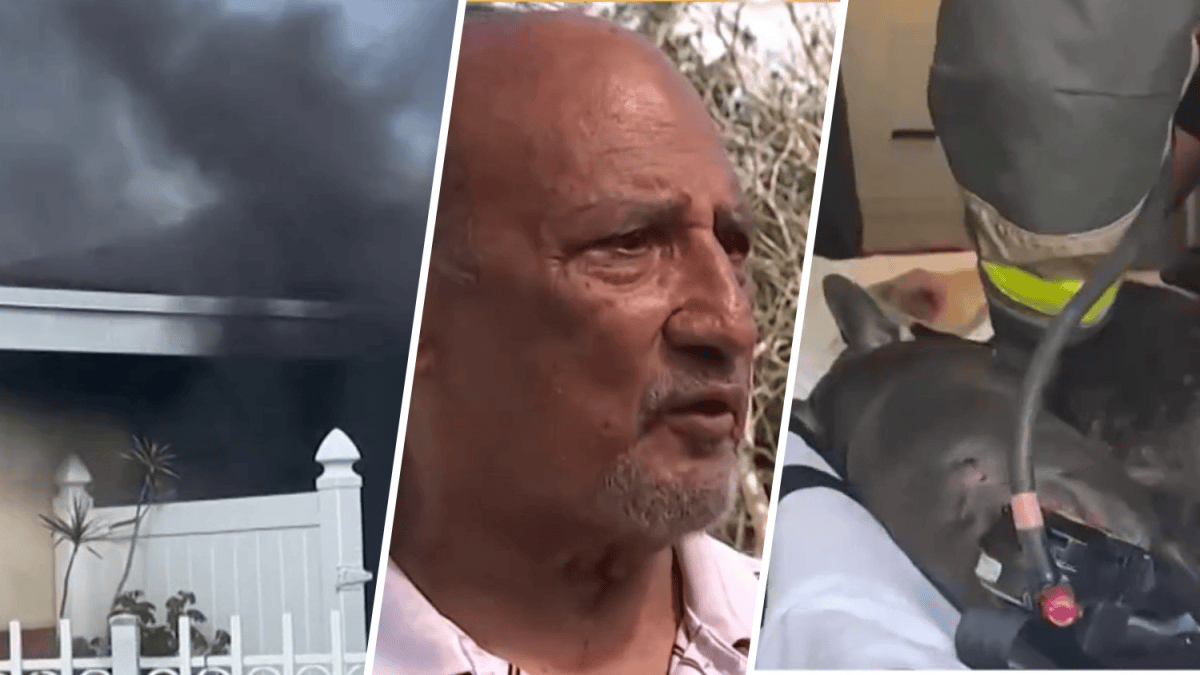Some pets missing after Fort Lauderdale fire: Authorities – NBC 6 South ...