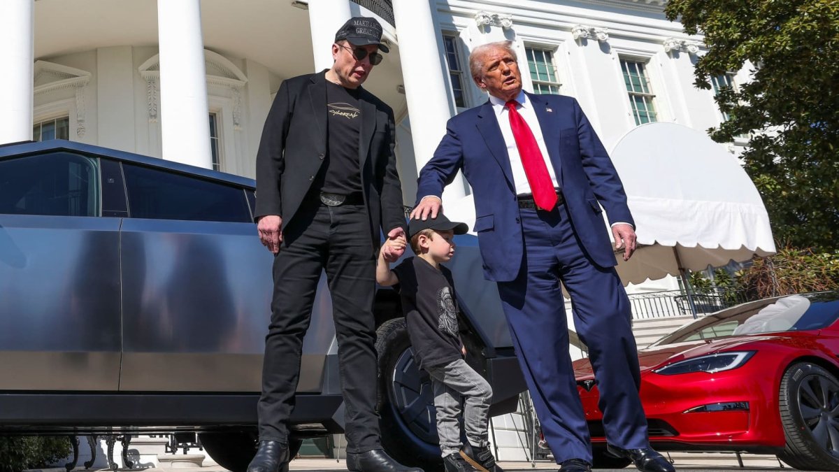 Tesla investor survey shows 85% believe Elon Musk's politics are having  'negative' or 'extremely negative' impact on company – NBC 6 South Florida