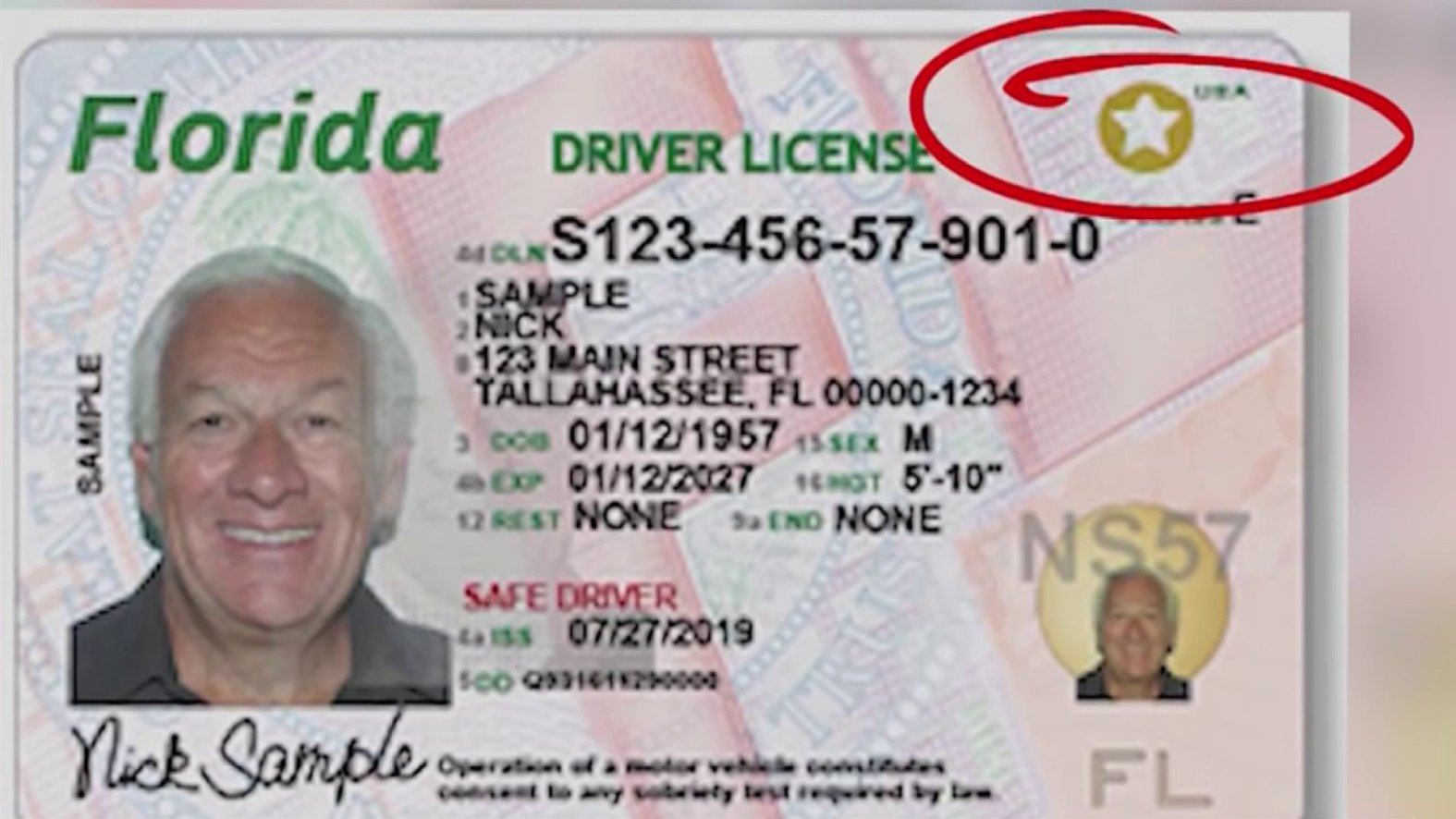 REAL ID deadline: How to update your Florida driver’s license – NBC 6 ...