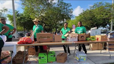 Voices: The Links' Black Family Wellness Expo