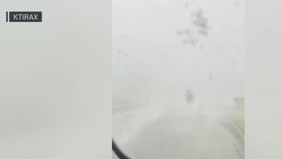 Video shows powerful rain and wind as tornado hits near Orlando