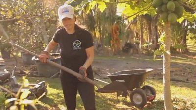 Pinecrest compost program looks to reduce waste