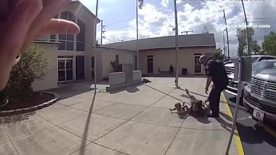 RAW: ‘The optics are bad': Bodycam footage shows 3-year-old putting hands behind back during police encounter in Winter Haven