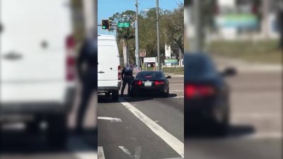 RAW: Video shows driver shooting flare gun at man armed with baseball bat in Hillsborough County