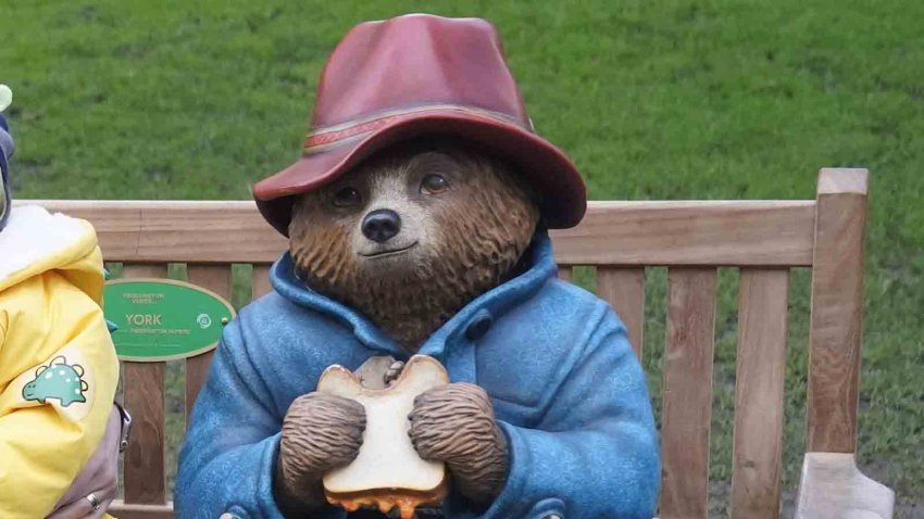 Paddington Bear statue