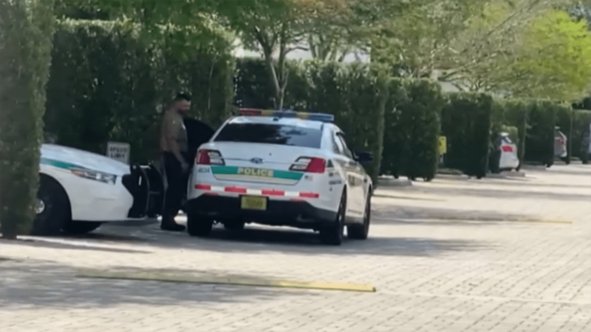 Suspects sought after multiple vehicles burglarized in SW Miami-Dade neighborhood