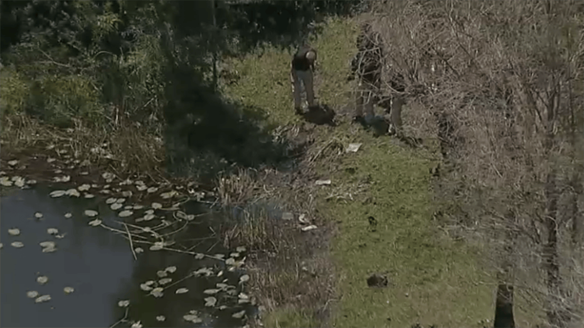 Car with skeletal remains inside reportedly found in pond in Plantation ...