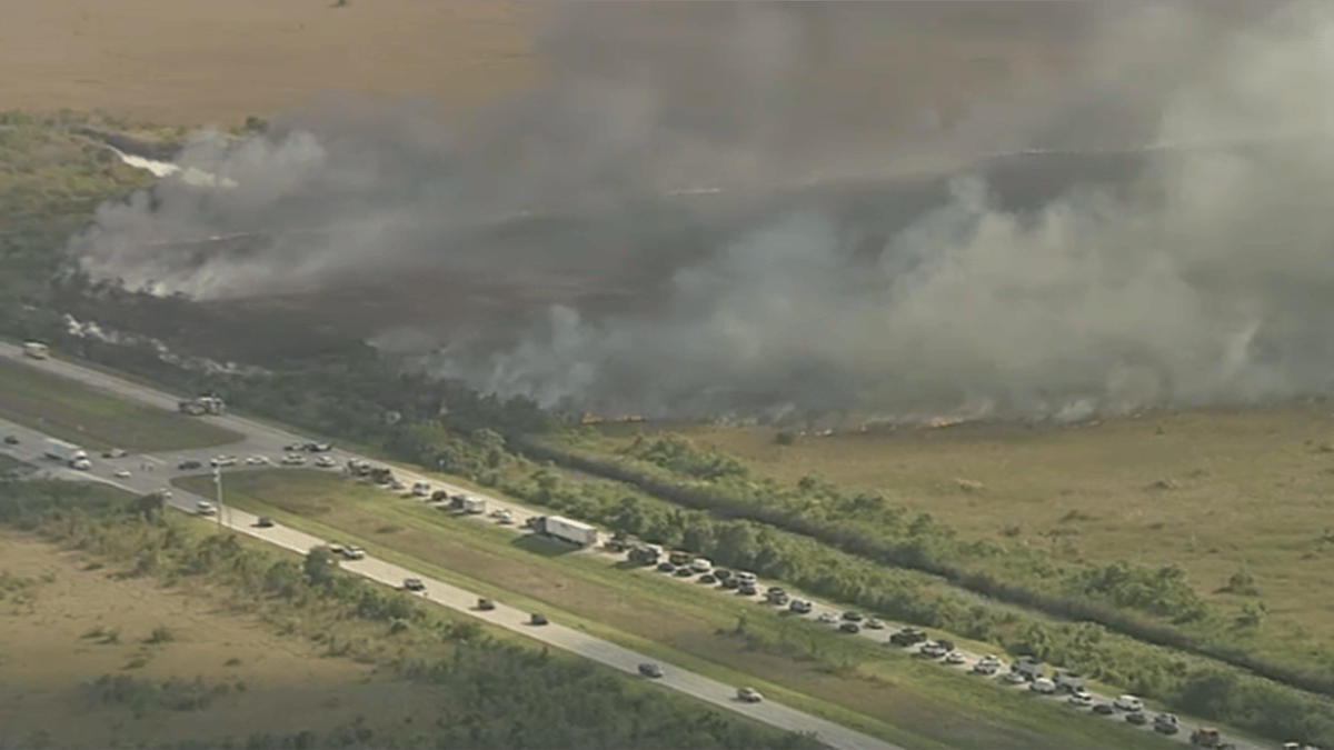 Crews respond to large brush fire in western Broward County – NBC 6 ...
