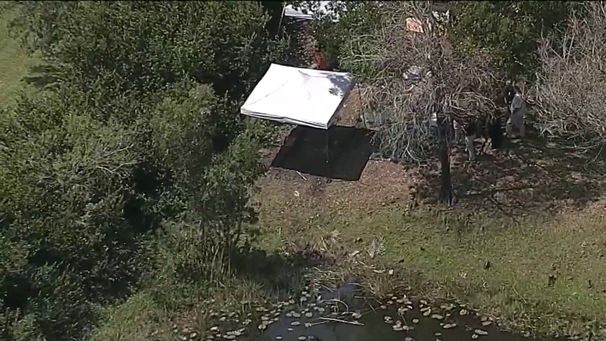 Car with skeletal remains inside reportedly found in pond in Plantation ...