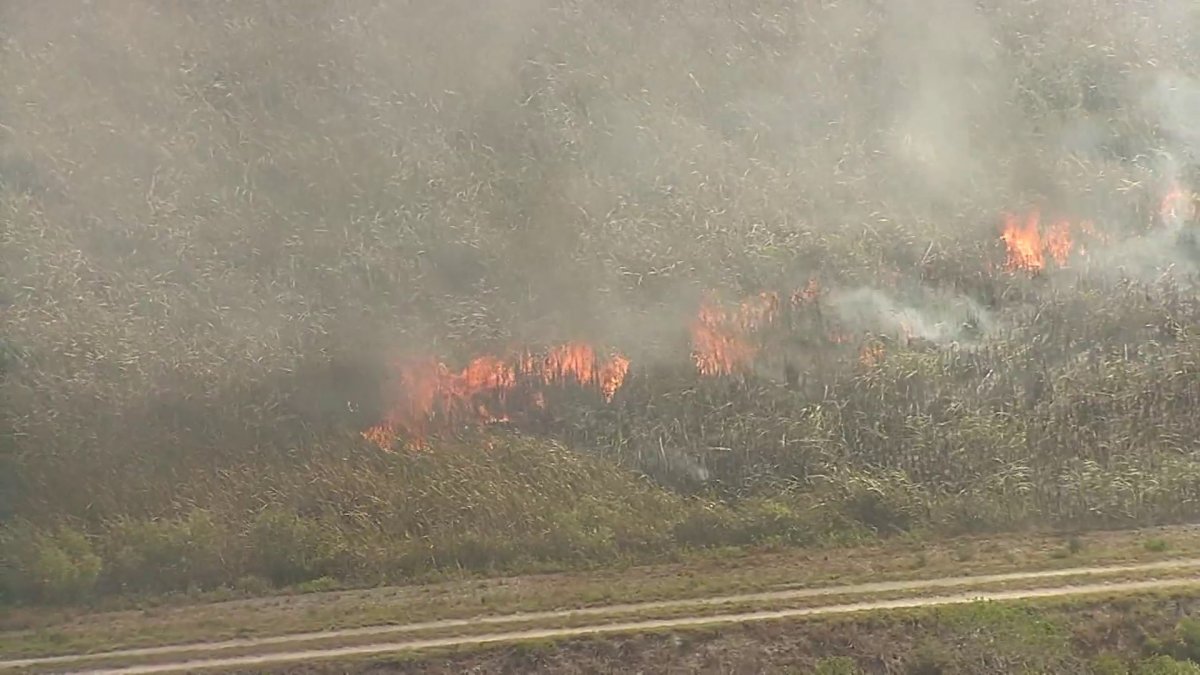 Brushfire erupts in The Everglades near Weston – NBC 6 South Florida