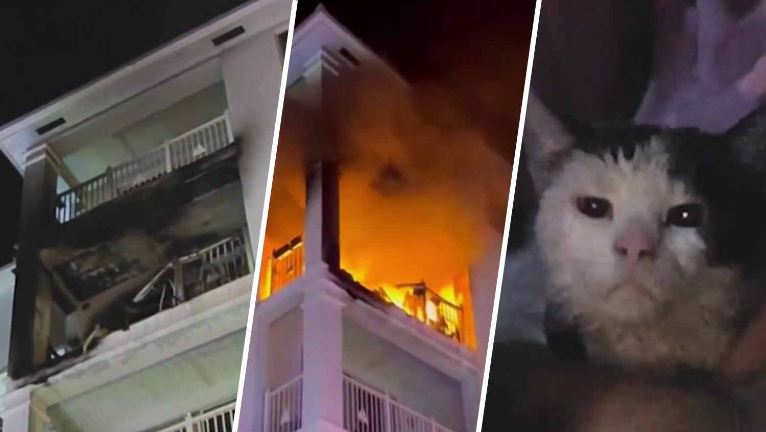 Man and pet cat escape fire at Fort Lauderdale high-rise, residents displaced