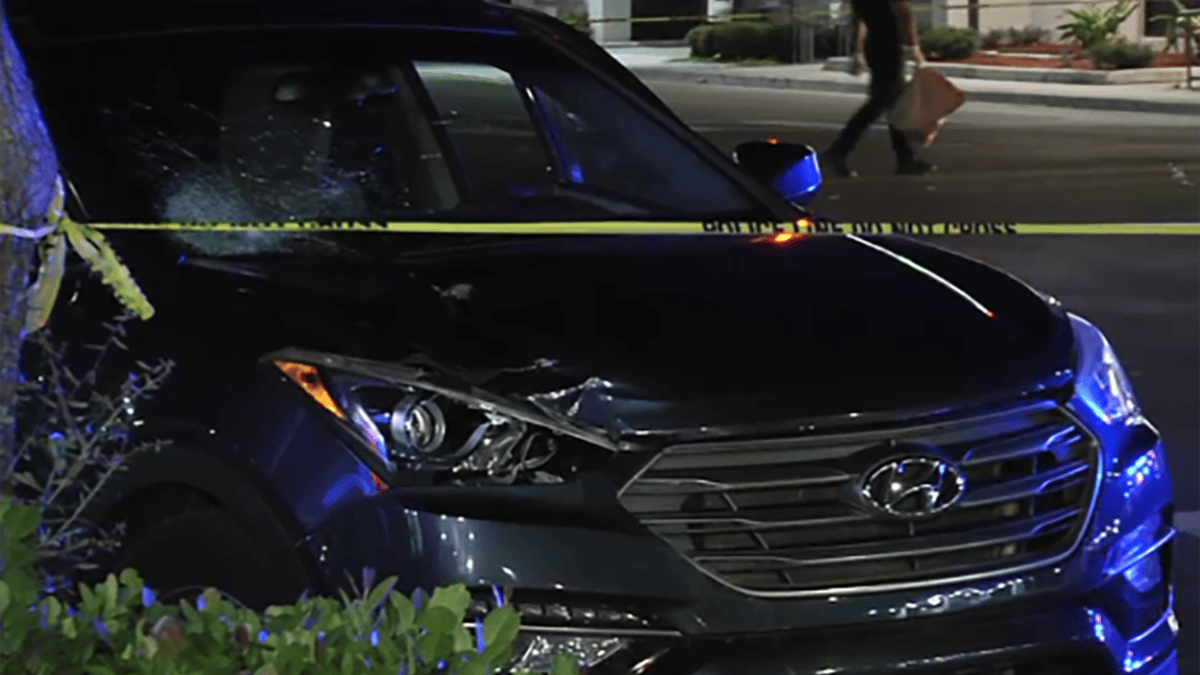 Pedestrian killed after crash in Miami: Police – NBC 6 South Florida