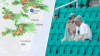 Severe T-storm watches, warning in South Florida: See the weather impacts, live radar