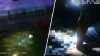 ‘He's coming back!': Dramatic video shows Hialeah officers saving blind man who fell in canal
