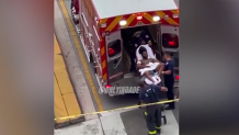 A man is placed in an ambulance after he's shot by an officer at Bayfront Park on May 25, 2025.