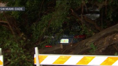 Thunderstorms knock out power, down trees in parts of Miami-Dade