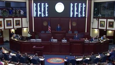 Lawsuit filed against Florida's new constitutional amendment law
