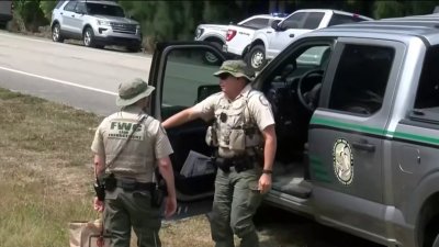 Man and dog killed in suspected bear attack in Florida: Wildlife officials