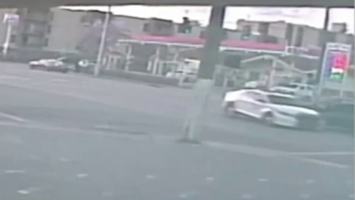 New videos show crash involving Miami Police officer that killed 23-year-old woman – NBC 6 South Florida