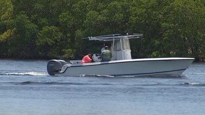 Florida Senate approves ‘Lucy's Law' after last-minute changes